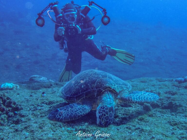 Antoine Réunion 2025