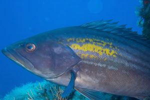 01072025-P7011738-Avec accentuation-Bruit