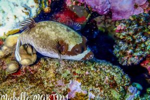 IMG-20241205-WA0022-10