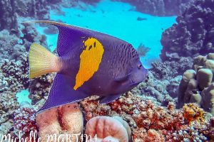 IMG-20241205-WA0046-3