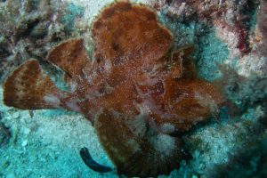 P2180497-20_resultat